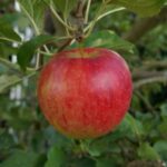 Monthly Bike Rental Near Me | Gonnadrive.in