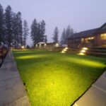 A Dream Garden Comes Alive: A Story of Transformation