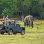Sri Lanka Round Tours: Private Driver & Multi-Day Adventures