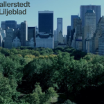 Internationell skatte- och internprissättning: Så maximerar ditt företag