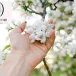 Therapy for Professionals in Texas: Balance Stress and Career