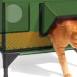 Best Natural Dog Food for Small Breeds: Healthy, Tiny, Energetic Companion