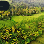 Lokale tours Bali: Experience authentic Bali with local guides