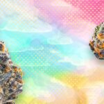 Trusted Medical Marijuana Dispensary USA | TGH Houston