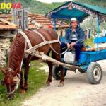 Tours from Chisinau: Day Trips, Towns & Landmarks You’ll Love