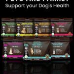 Joint supplement for dogs: support for happy, mobile pets