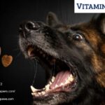 Fish Oil For Dogs | Vitaminpaws.com