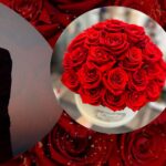 Forever Rose In Glass Case – Timeless Gift from The Enchanted Petal