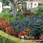 Landscaping Rocklin Ca | Rocklinlandscapingpros.com