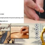 Best Chiropractor In Penang | Tcmchinesephysicianchiropracticpenang.com