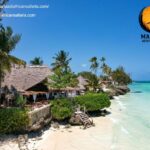 Luxury Tanzania Wildlife Tours: Exclusive Safaris in Style