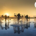 Navigating Opportunities: A Story of a Growing