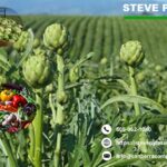 Farm Tax Professional in Santa Barbara Trusted Expertise for Your Farm Taxes