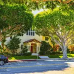 Assisted Living Real Estate Brokers that You Can Trust