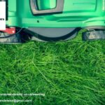 Lawn Mowing Services in Bristol | Tidy Gardeners Bristol
