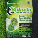 How to Kill Weeds Without Harming Grass: Safe Lawn Tips
