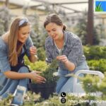 Customized Lawn Fertilization Plans | Thickgreenhealthy.com