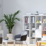 Psycho-educational Assessments Cape Town | Kirstin Brink EDpsych