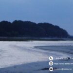 Trusted solutions from Lowcountry SC law firm professionals