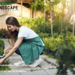 Affordable Landscape Maintenance Plans Near You
