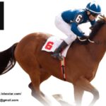 樂趣無限，線上娛樂城帶你暢遊全球熱門遊戲