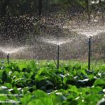 Best Landscaping Company In Dubai | Paradise-escape.ae