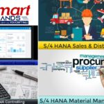 Sap Online Courses With Certification | Thesmarthands.com