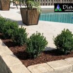 Backyard Landscaping Services Cambridge | Transform Your Garden Today