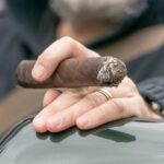 A Quiet Evening with Bright, Rich Flavours