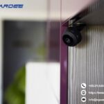 A Quiet Evening, A Watchful Doorstep