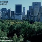 Internationell beskattning: förstå reglerna över gränserna