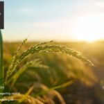 Psykodynamisk terapi i Östermalm – trygg och prisvärd hjälp