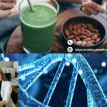 A Gentle Journey to Balanced Health in Edmonton