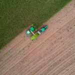 A Seasonal Breakthrough for Vegetables on the Farm