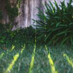 Weeding Landscaping Services | Tidy Gardeners Bristol