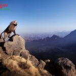 Customized Ethiopia Holiday Packages for Your Dream Trip