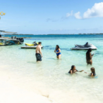 Rose Island Bahamas Pigs Excursions: Swim with Piglets & Beach Fun