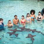 Bahamas Boat Tours: Discover Coral Cays and Crystal Waters