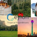 Best Day Tours Service –Effortless Local Sightseeing