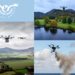 Professional Ashes Scattering: Respectful, Thoughtful Farewell