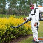 Calgary Pest Control: Safe, Effective Solutions for Homes & Businesses