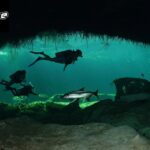 Scuba Tulum: Discover Underwater Wonders with Go Dive Mexico