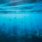 Holistic Dentist Ottawa | Compassionate, Effective Dental Care