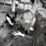 Tierkommunikation Schwarzenegg: Verbinde dich mit deinen Tieren