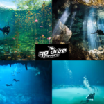 Cenotes Cave Diving: Clear Waters and Cavern Explorations