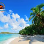 Budget-Friendly Car Rentals in Hawaii: Save on Your Island Adventure