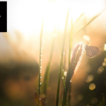 Psykolog Stockholm relationer – hitta balans och förståelse