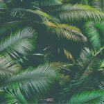 Air Conditioner Installation Near Miami, FL – Fast, Reliable Service