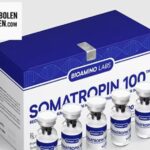 Dianabol kopen: veilig en betrouwbaar bij AnabolenKopen.com