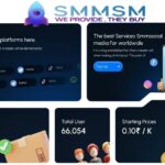 Affordable SMM Panel Provider: Trusted Budget Growth Solutions